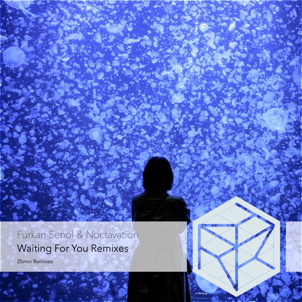 Waiting for You Remixes - Single