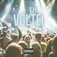 Eu Voltei (feat. MC Nandinho & MC GW) - Single - DJ Mtzin
