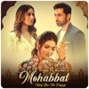 Mohabbat Maaf Kar Na Payegi - Single