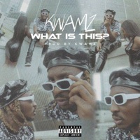 What Is This? - Single - Kwamz