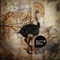 Ayhan - Levni lyrics
