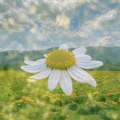 Brisa Florida - Single