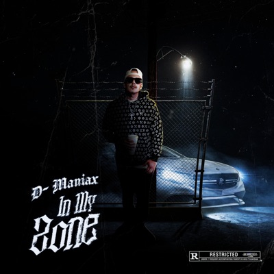 In My Zone - Single