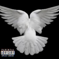 Birds - Single - BigBoyBiznis