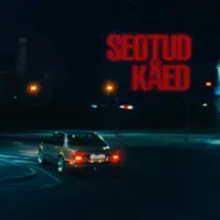 Seotud käed — Stefan