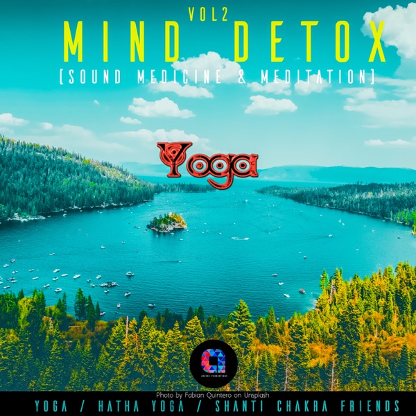 Mind Detox (Sound Medicine & Meditation), Vol.2