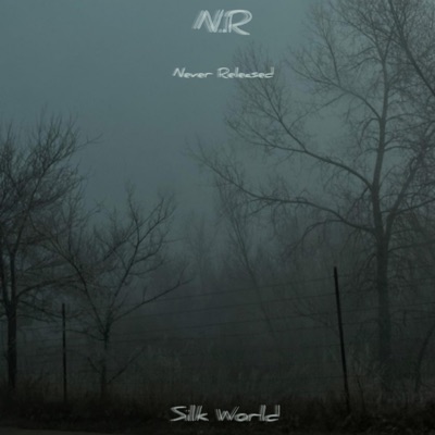 Song - Is It Fair? - Silk World