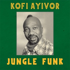 ADZAGLI (JUNGLE FUNK) cover art