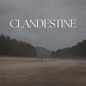 Clandestine