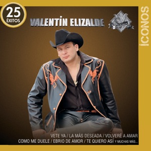 Íconos: Valentín Elizalde - 25 Éxitos