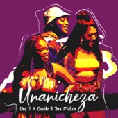 Unanicheza (feat. Soa Mattrix) artwork