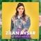 Bahçeye gel bahçeye (Alacaksan al beni) - Zilan Avşar lyrics
