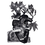 Jessica (Single Version) - Schmalgauzen