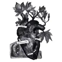 Jessica — Schmalgauzen