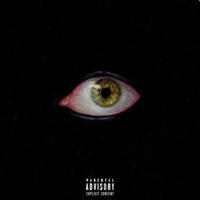 Observe - Single