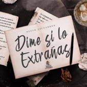 Dime Si Lo Extrañas artwork