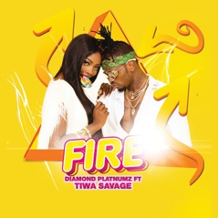 Fire (feat. Tiwa Savage) - Single
