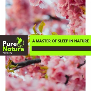 A Master of Sleep in Nature