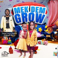 Mek Them Grow (feat. Majah Bless) - Single - Super-Twinz