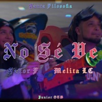 No Se Ve (feat. Melita LC) - Single - Señor F