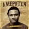 Amepotea artwork