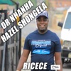 Dr nhanha (Recece) (feat. Hazel shongela) - Single