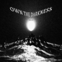 Own the Darkness - Single - NOX LUX, Mats Kedrren & Adams Reitthar