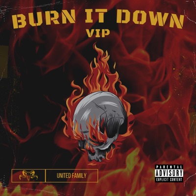 Burn It Down (VIP) - Single
