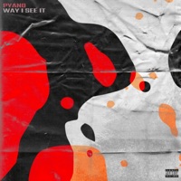 Way I see It - Single - Pyano ll
