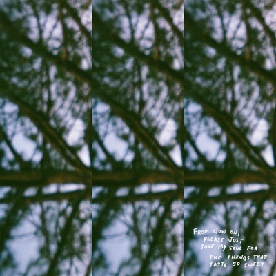 The Things That Taste So Sweet - Single