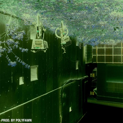 Asylum - Single