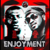 Enjoyment artwork