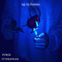 Up In Fumes (feat. CT WR1DW1DE) - Single - PURGE