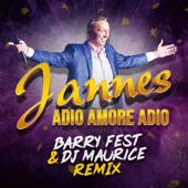 Adio Amore Adio (Barry Fest & DJ Maurice Remix) artwork
