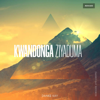 Dankii kay - Kwandonga Ziyaduma (Remake) F.T Dj Xanny artwork