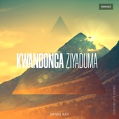 Kwandonga Ziyaduma (Remake) F.T Dj Xanny artwork