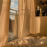 Sunny Curtains - Single - Sebastian Jautschus