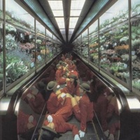 walk around (feat. Hayd3n & michaelwarren) - Single - Zilo Sage