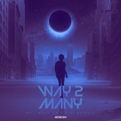 WAY 2 MANY (feat. Slice 4k & Sidi Anthony) - Single