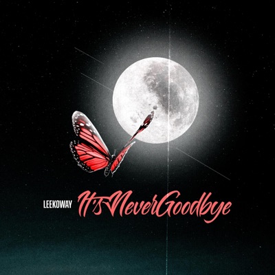 Its never goodbye - Single