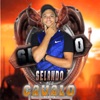 Selando Meu Cavalo - Single