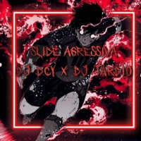 SLIDE AGRESSIVA - EP - dawnicy