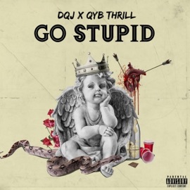 Go Stupid (feat. QYB THRILL) DQJ