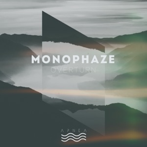 Overturn - Single