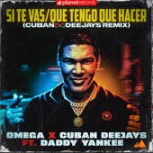 Si Te Vas / Que Tengo Que Hacer (feat. Daddy Yankee) [Cuban Deejays Extended Remix] artwork