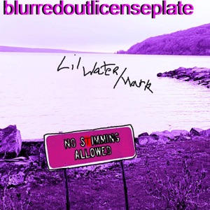 Blurredoutlicenseplate - Single