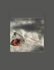 收听 Vau、观看音乐视频、阅读小传、查看巡演日期等 ！