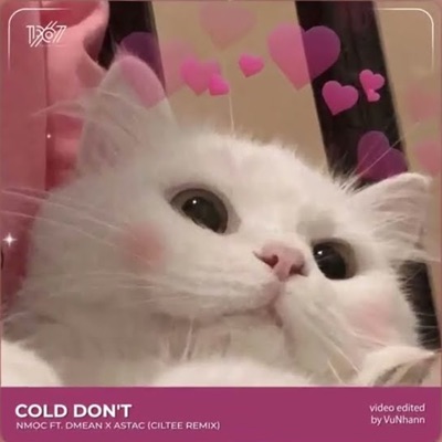 Cold Don't (Remix) - Single