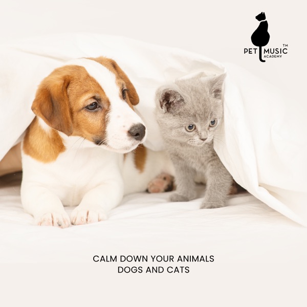 Calm Down Your Animals: Relaxing Music for Dogs and Cats, Soothing Sounds for Pets, Deep Sleep for Dog and Cat