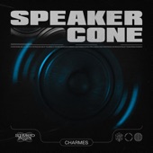 Speaker Cone artwork
